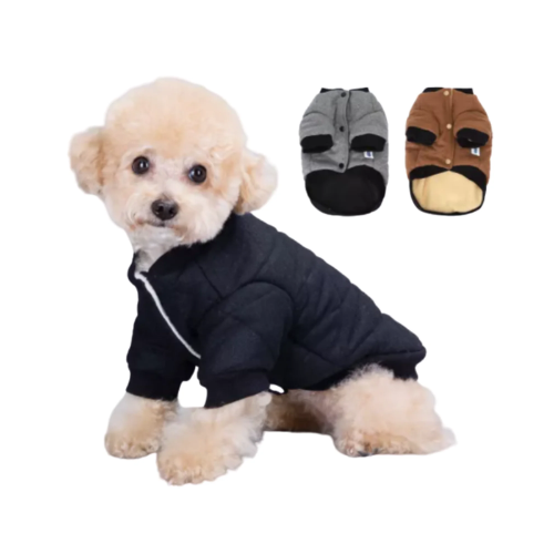 Noformējums bez nosaukuma - 2026-01-05T100247.038