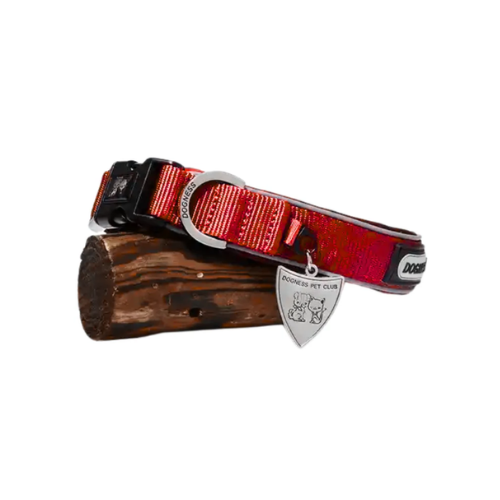 Noformējums bez nosaukuma - 2025-08-26T094230.262