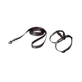 PAVADA KRŪŠU SIKSNA CHESS