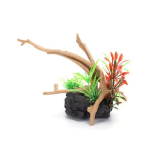 DEKORS AKVĀRIJAM KOKS