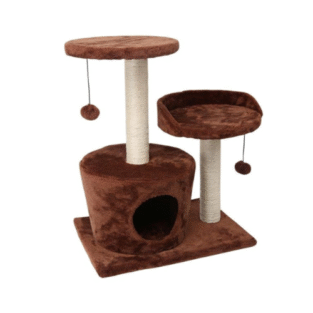 NAGU ASINĀMAIS MĀJA KOKS