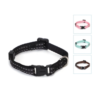 KAKLA SIKSNA ATSTAROJOŠA NEILONA