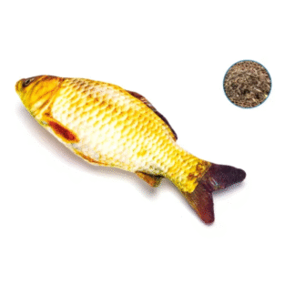 ROTAĻLIETA ZIVS LELĀ AR KAĶU ZĀLI