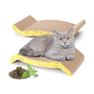 NAGU ASINĀMAIS KARTONA YELLOW N2