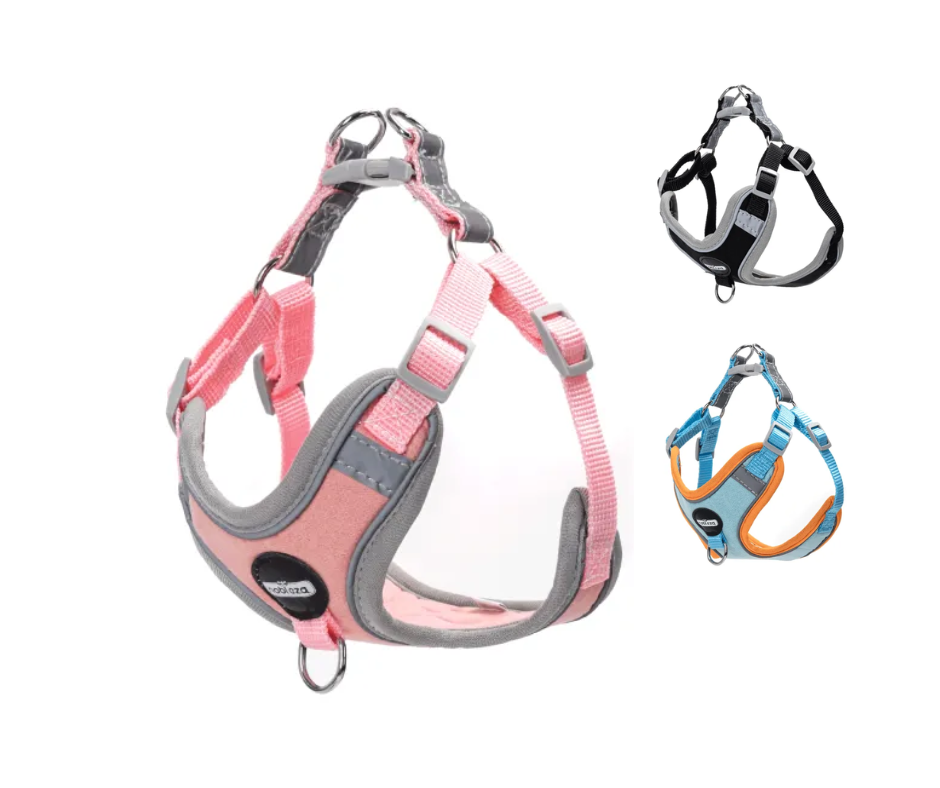 Noformējums bez nosaukuma - 2026-01-20T154730.566