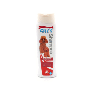 ŠAMPŪNS GILLS PŪDEĻIEM 200ML