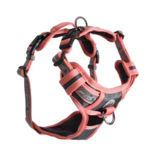 KRŪŠU SIKSNA KAĶIEM RANDO ORANGE