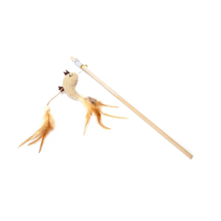 ROTAĻLIETA MAKŠĶERE DABĪGA