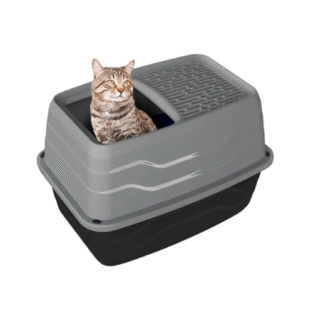 TUALETE AR AUGŠAS IEEJU 56CM